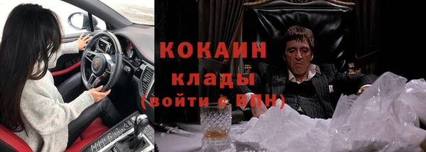 мдпв Осташков